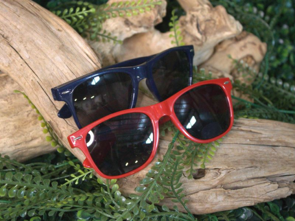 Lunette de Soleil - Lunette de Soleil - Éducazoo