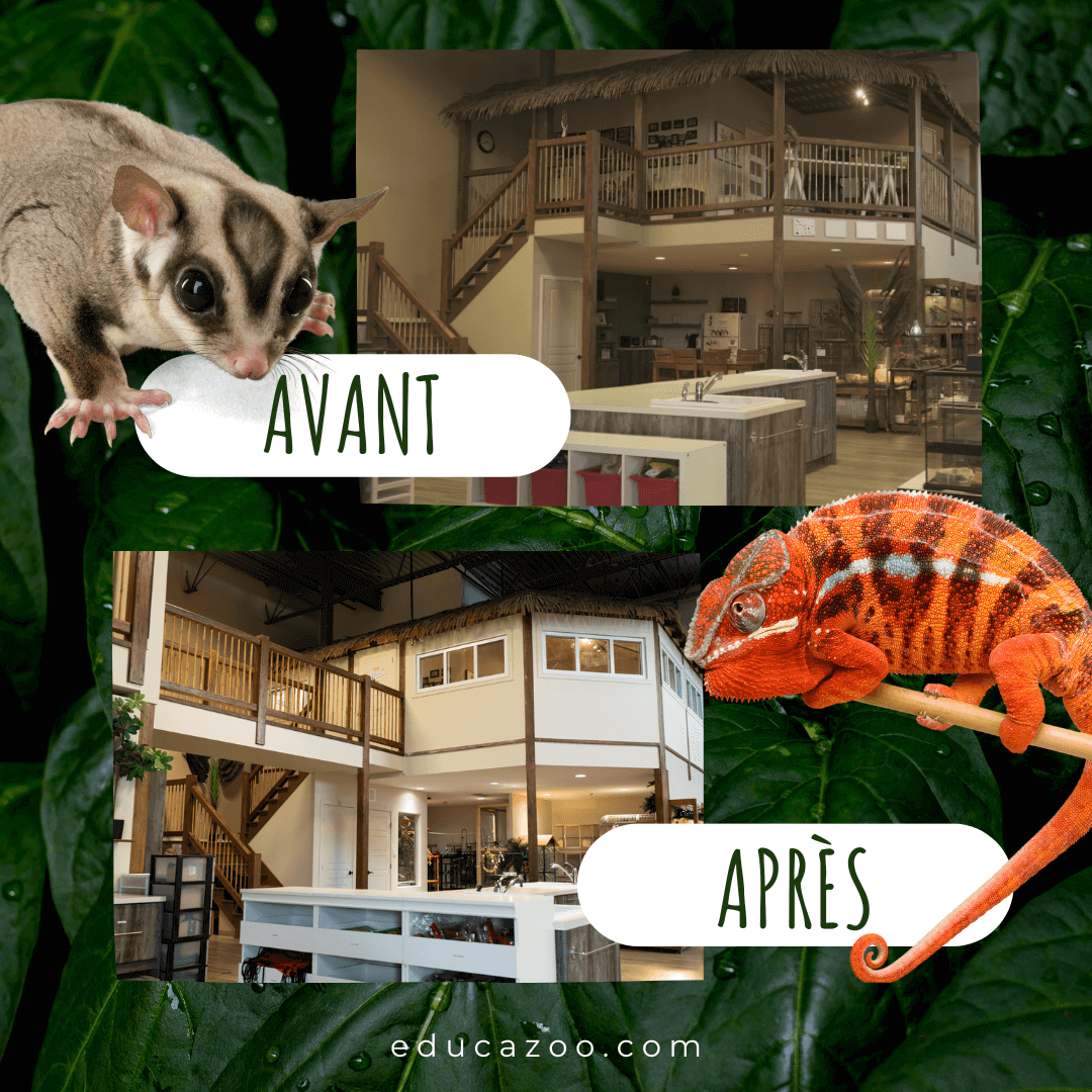 Éducazoo grandit encore!