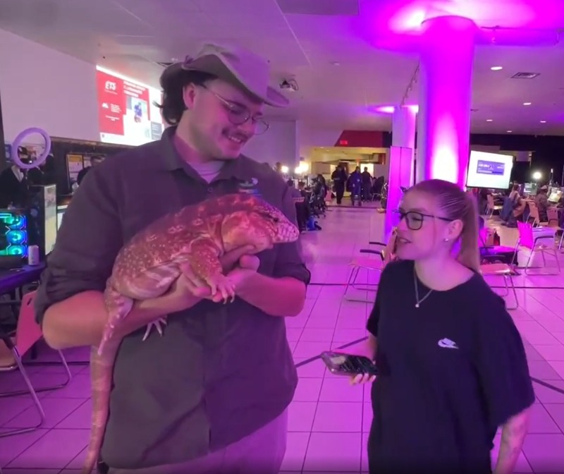 Twitch stream with Cocotte