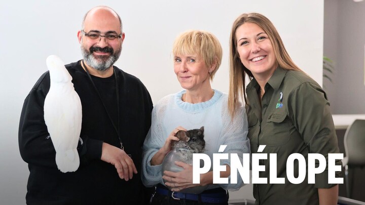 Pénéloppe