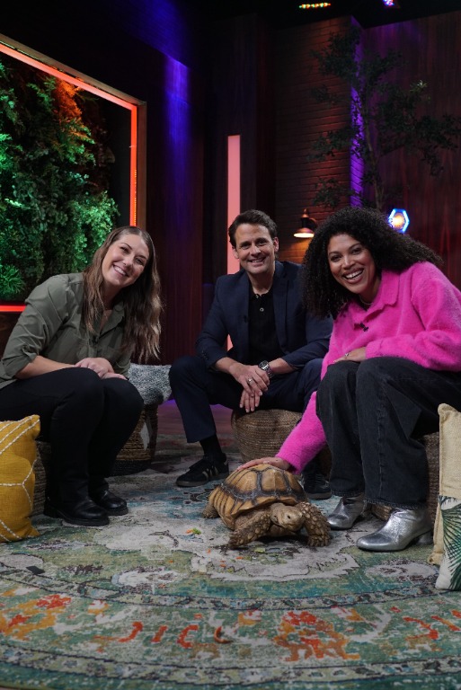 Catherie Souffront - Tortue sulcata
