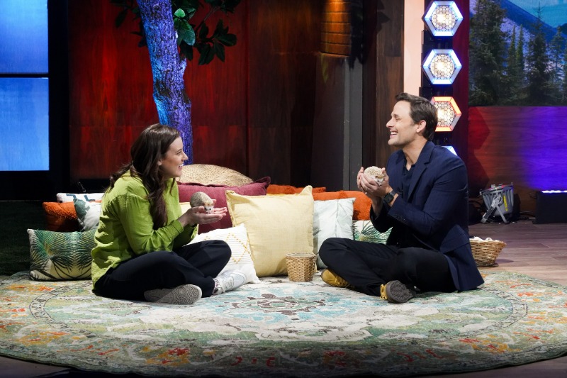 Les poilus 2025 - Hérisson d'Afrique 