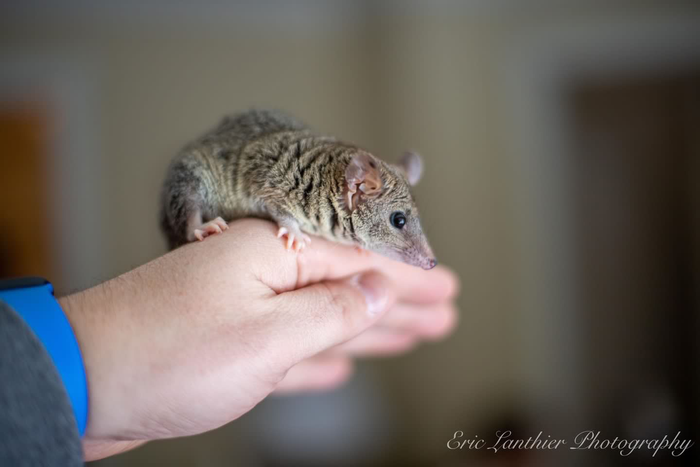 Blogue - Article scientifique - Les bonnes pratiques chez Éducazoo