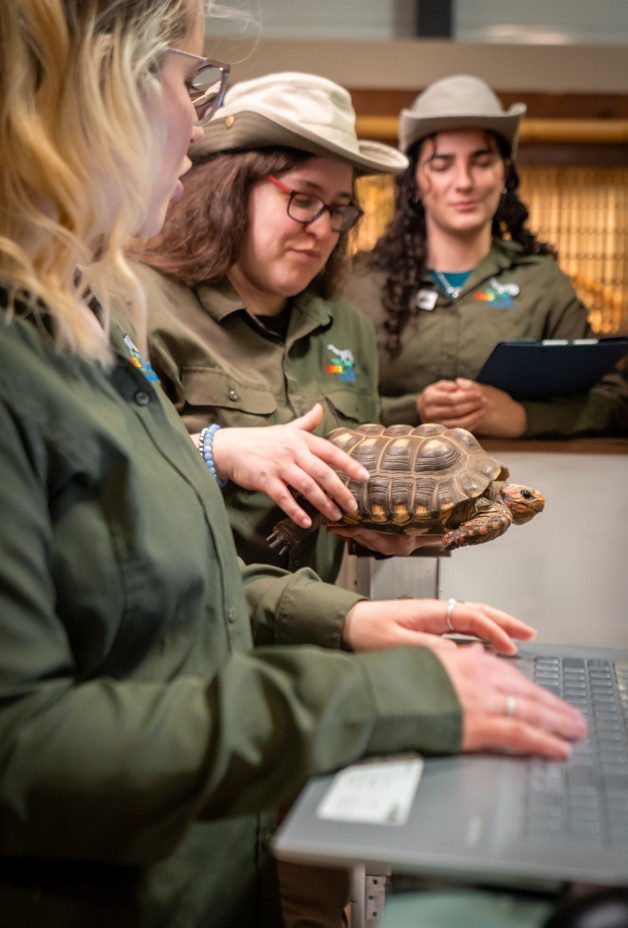 Animal Care Specialist in a Sanctuary of Exotic Animals