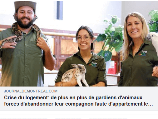 Crise du logement: de plus en plus de gardiens d'animaux forcés d'abandonner leur compagnon