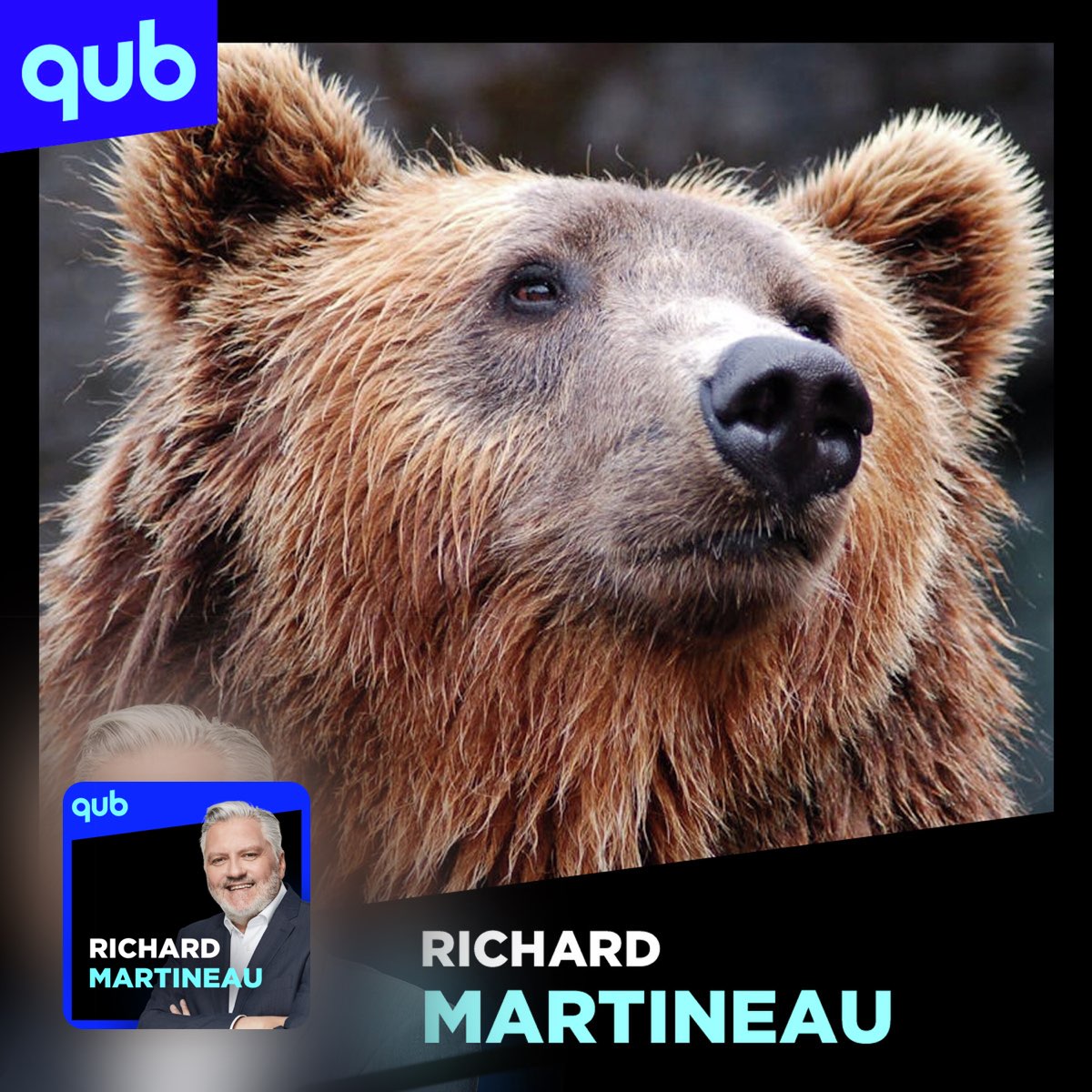 Que faire en cas de rencontre avec un ours ?