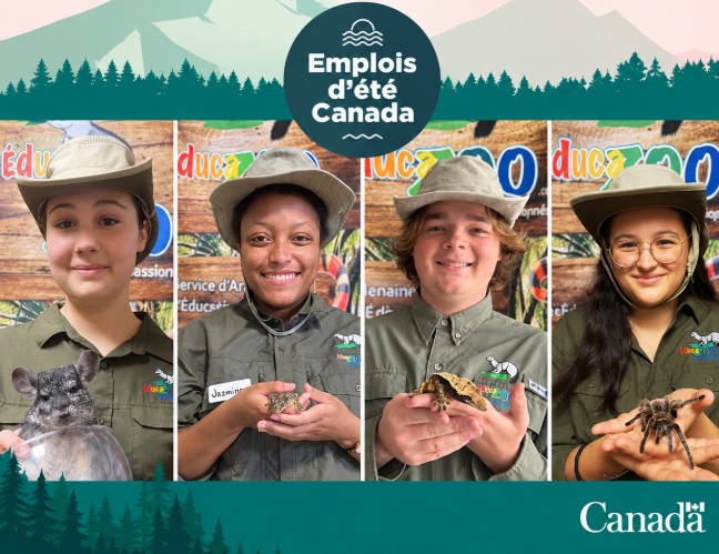 Canada Summer Jobs